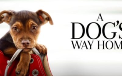 Worth seeing with a lovely therapy dog connection!